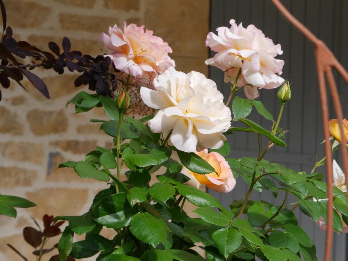 La Bastide Du Murier โคทินยัค ภายนอก รูปภาพ